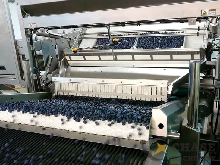 Berries Processing Plant